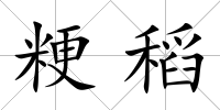 粳稻