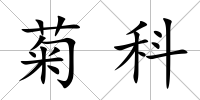 菊科