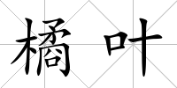 橘葉
