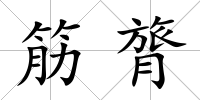 筋膂
