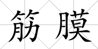筋膜