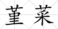 堇菜