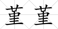 堇堇