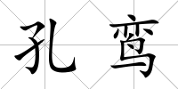 孔鸞