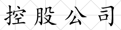 控股公司