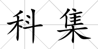 科集