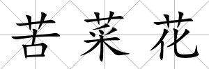 苦菜花