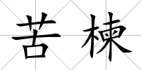 苦楝