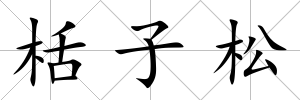 栝子松