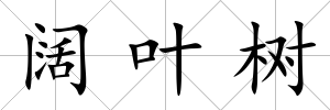 闊葉樹(shù)