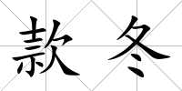 款冬
