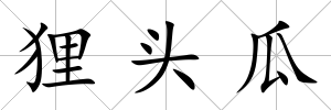 貍頭瓜