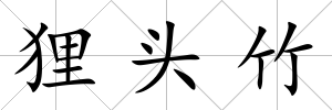 貍頭竹