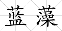 藍(lán)藻