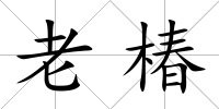 老椿