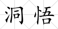 洞悟