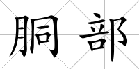 胴部