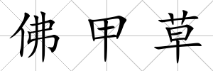 佛甲草