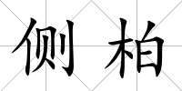側柏