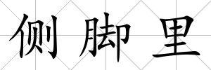 側(cè)腳里