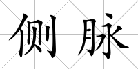 側脈