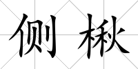側楸