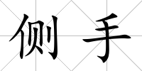 側手