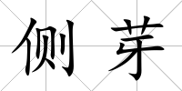 側芽