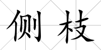 側(cè)枝