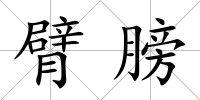 臂膀