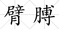 臂膊