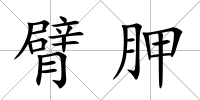 臂胛