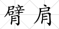 臂肩