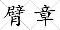 臂章