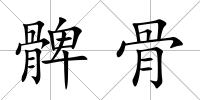 髀骨