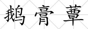 鵝膏蕈