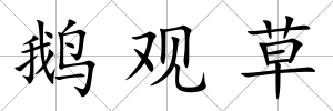 鵝觀草