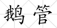 鵝管