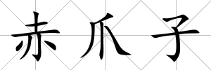 赤爪子