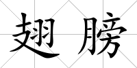 翅膀