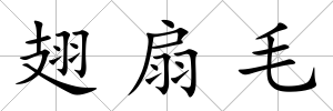翅扇毛