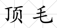 頂毛