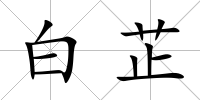白芷