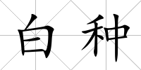 白種