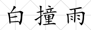 白撞雨