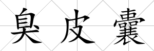 臭皮囊