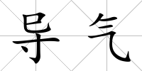 導(dǎo)氣