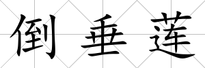 倒垂蓮
