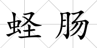 蟶腸