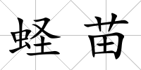 蟶苗